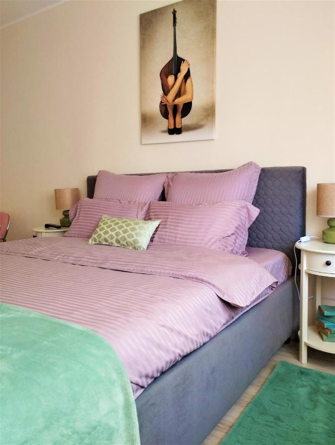 Central Lala Apartament Διαμέρισμα Μπρασόβ Εξωτερικό φωτογραφία